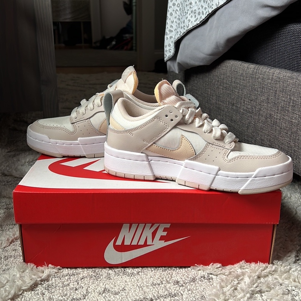 Nike Dunk Low Disrupt
